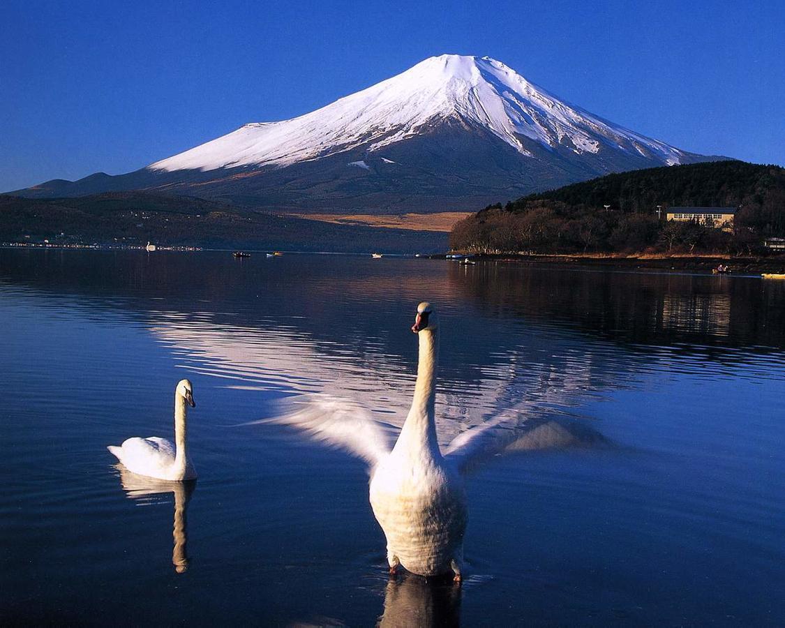 Resort Inn Golf Gotemba (Adults Only) المظهر الخارجي الصورة